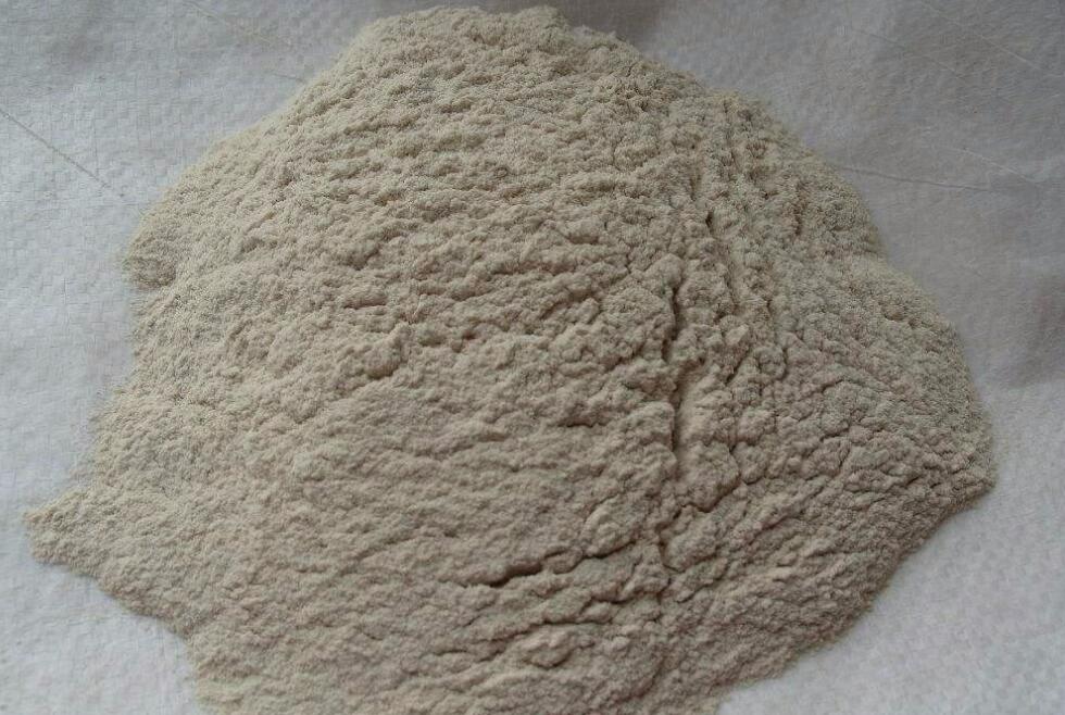 ʯ���fճ�Y(ji��)ɰ�{�S��